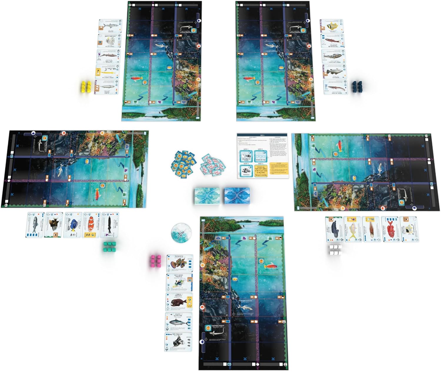 Board game components including maps, cards, and pieces on a white background