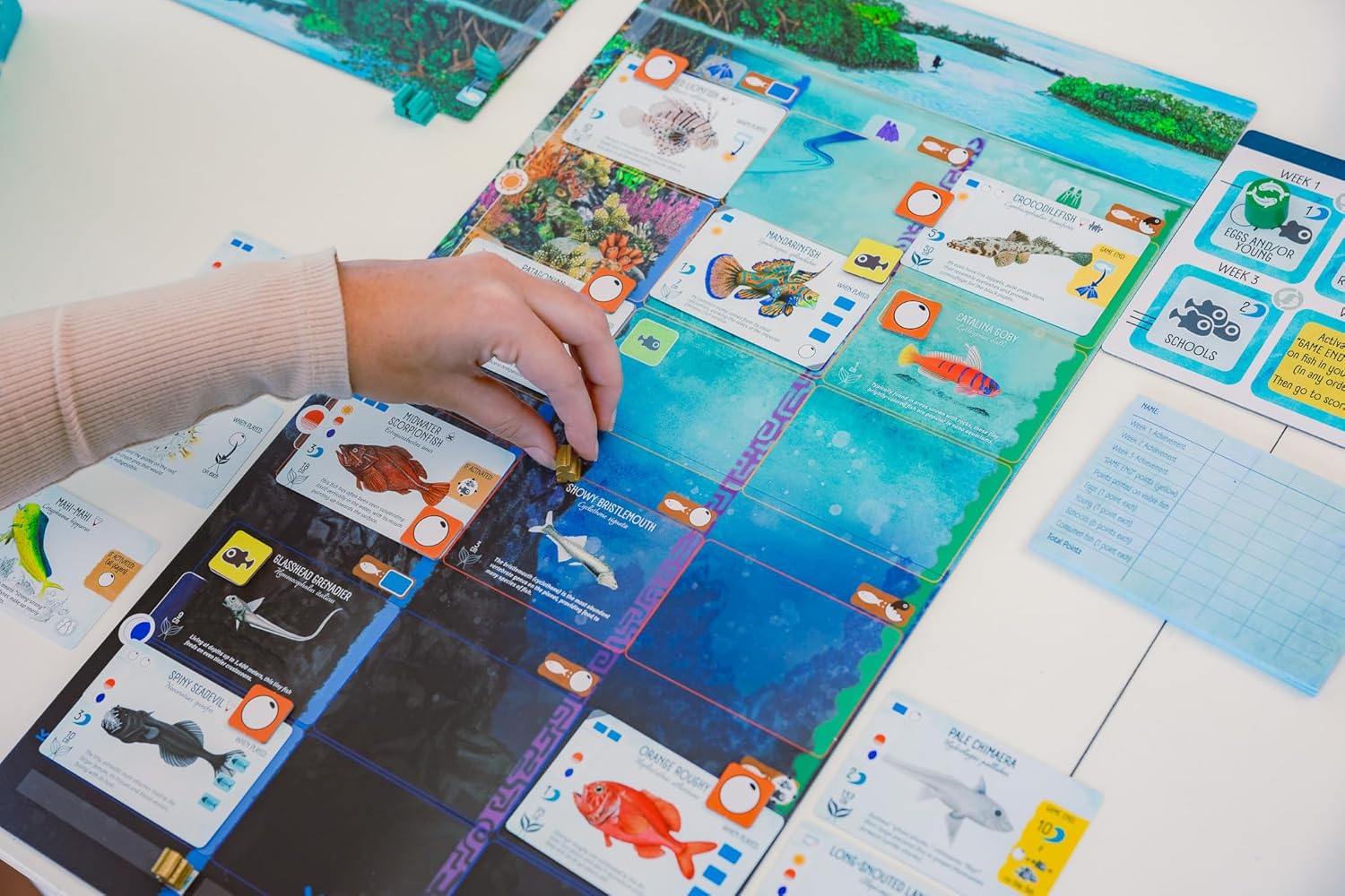 Person playing Finspan with colourful cards on a table