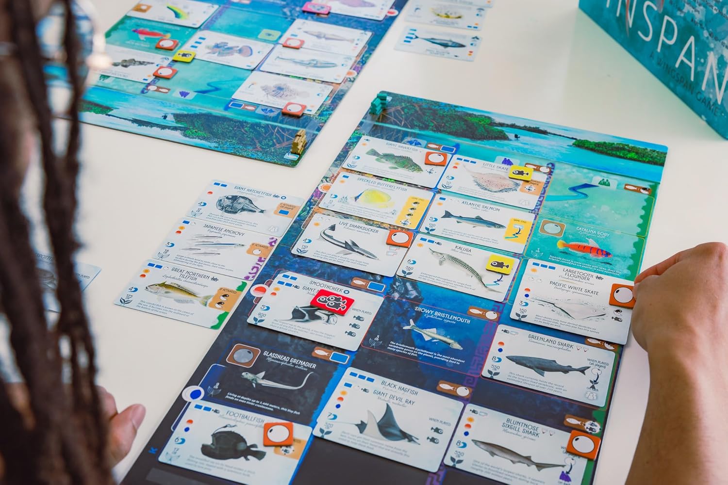 Finspan board game with cards featuring underwater creatures on a table