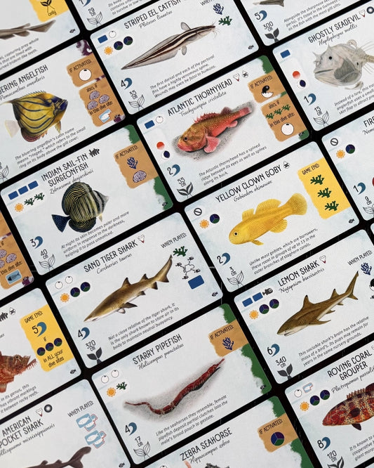 A close-up of finspan sharks and reefs expansion - showing overlapping educational fish identification cards arranged diagonally. Each card shows a different fish species with its name, scientific name, habitat, food, and a small fishing tackle icon, photographed against the white background of neighbouring cards.
