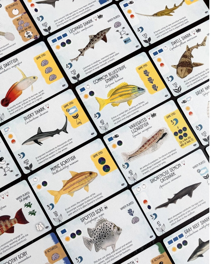 A close-up of finspan sharks and reefs expansion - showing overlapping educational fish identification cards arranged diagonally. Each card shows a different fish species with its name, scientific name, habitat, food, and a small fishing tackle icon, photographed against the white background of neighbouring cards.