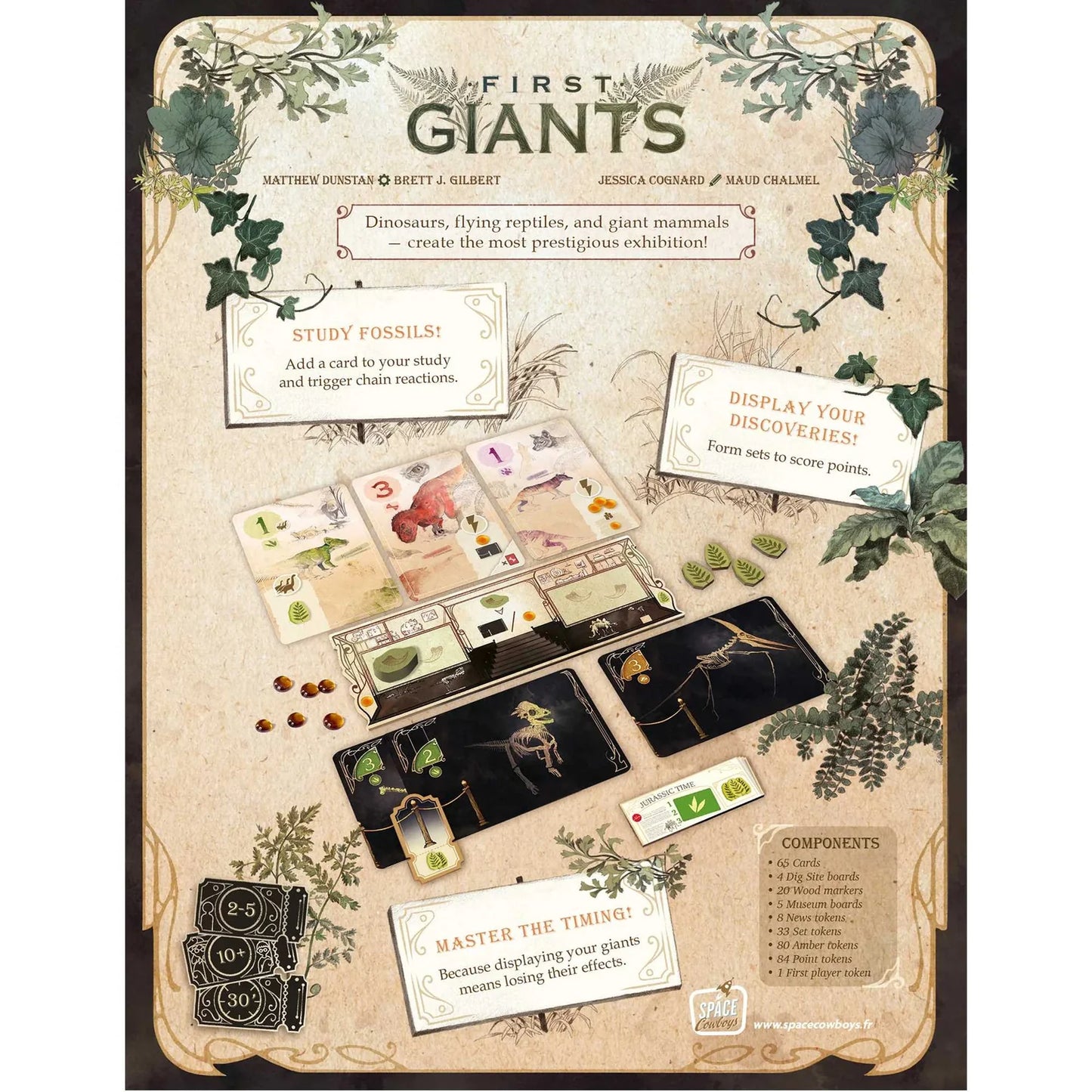 First Giants product packaging rear of box showing components