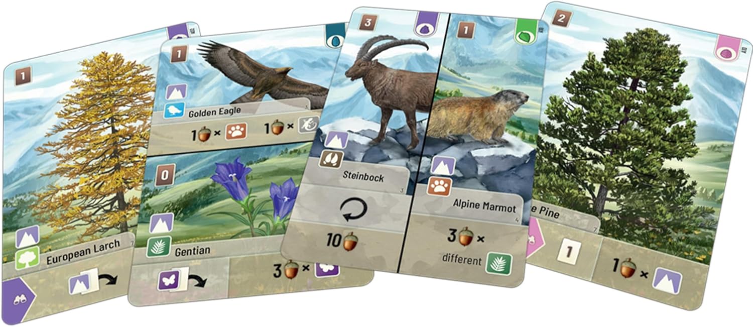 Set of nature-themed cards with animals and plants on a white background