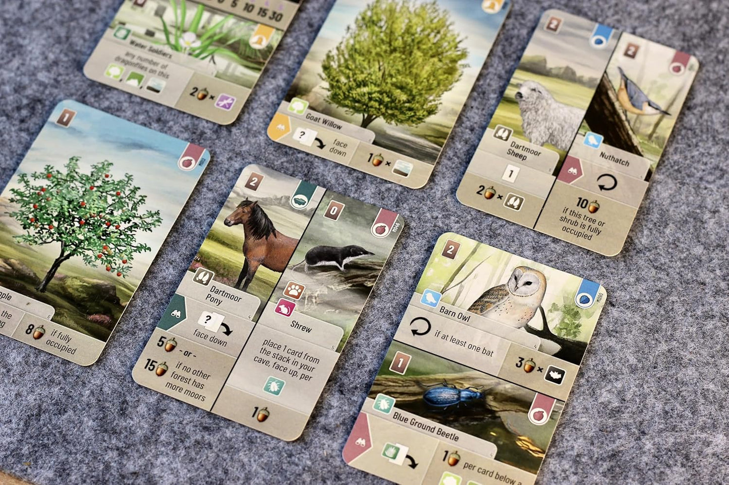 Collection of cards with nature-themed illustrations on a textured surface