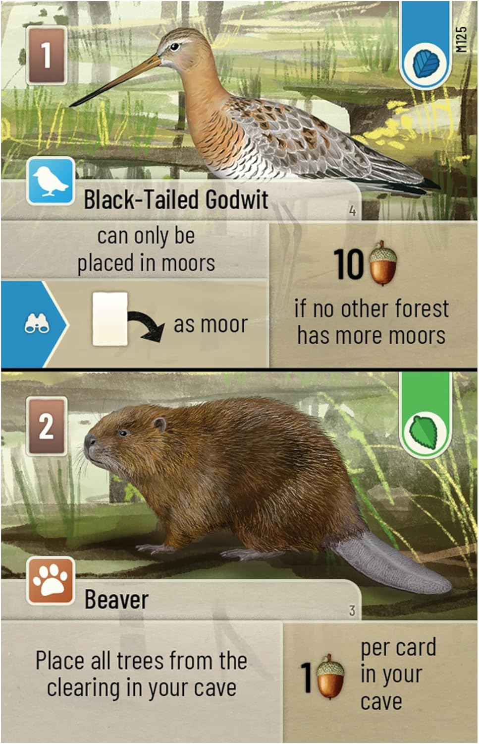 Card featuring a Black-Tailed Godwit and Beaver with game instructions and graphics.