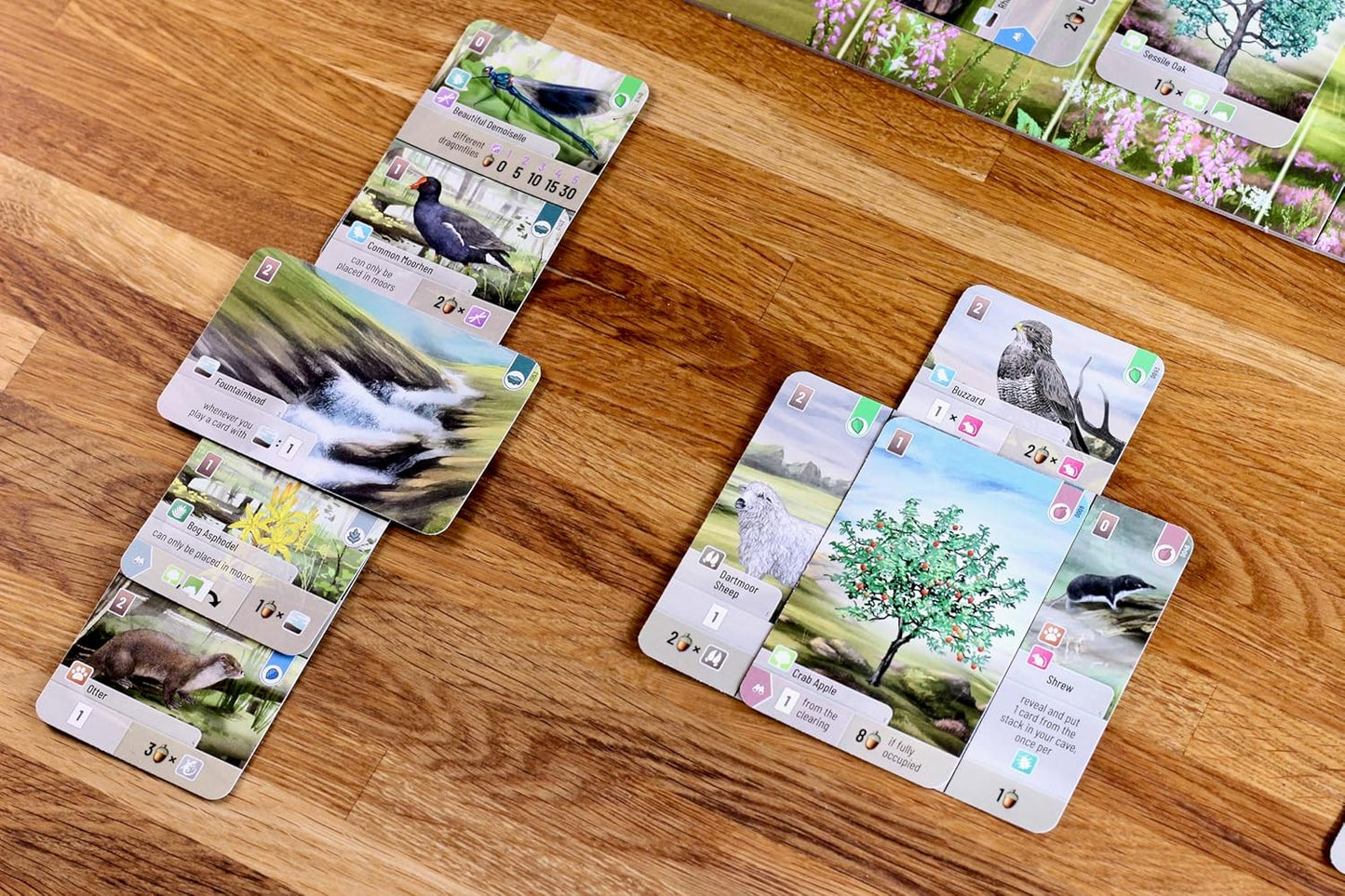 Set of nature-themed cards on a wooden surface