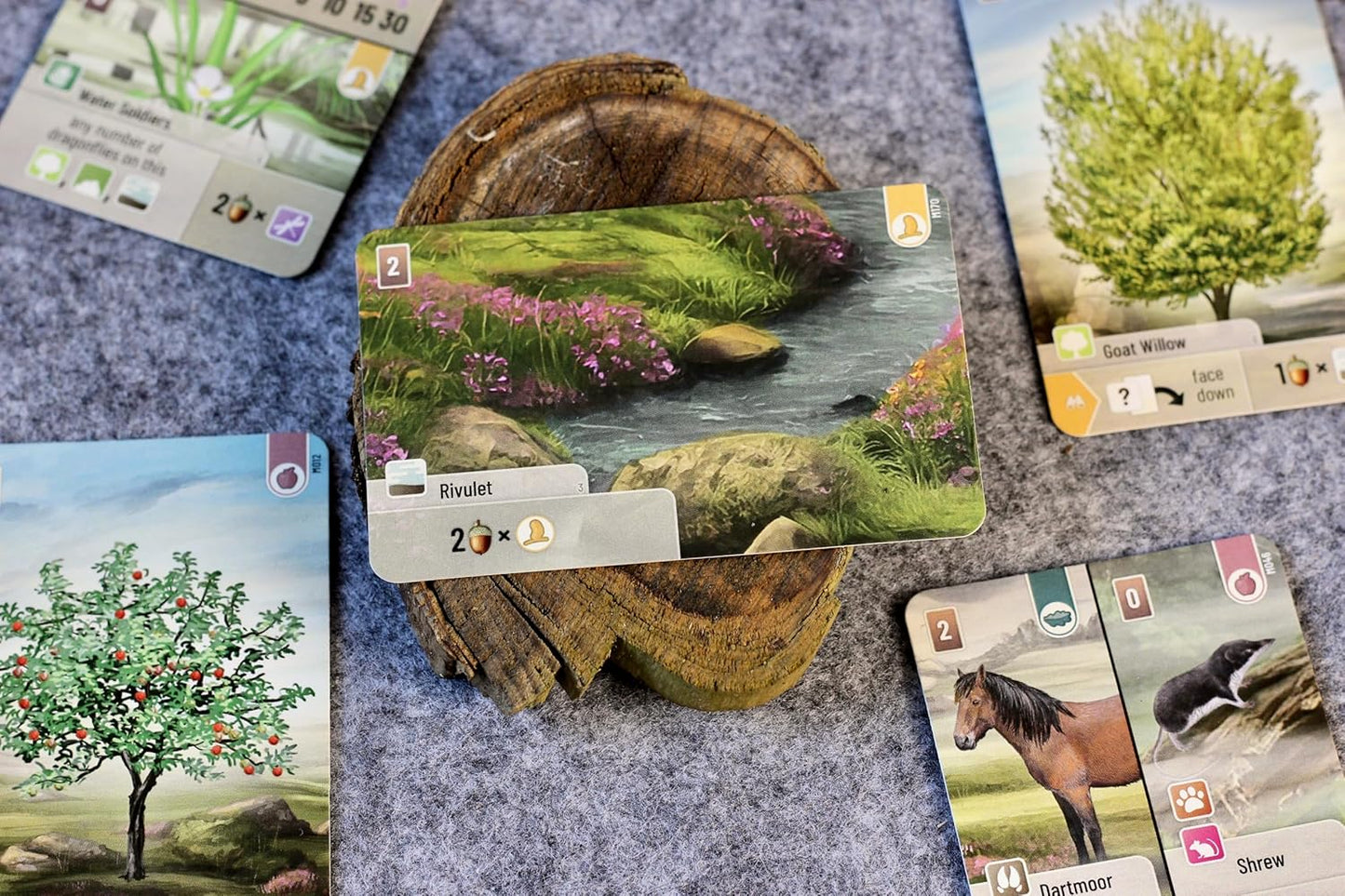 Board game cards featuring nature-themed illustrations on a textured surface