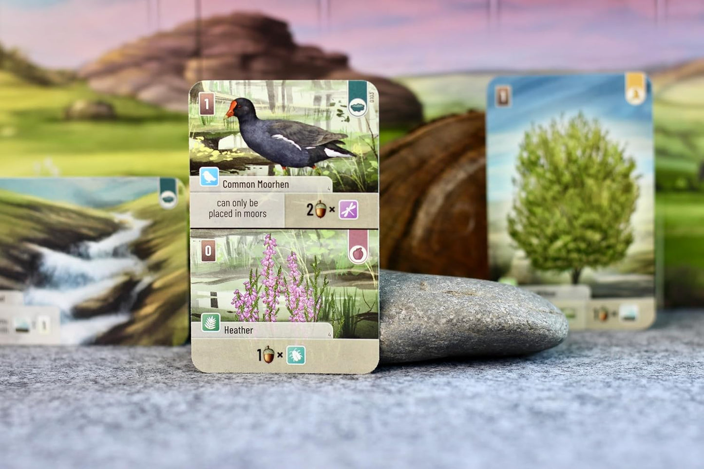 Card with a Common Moorhen illustration on a natural background