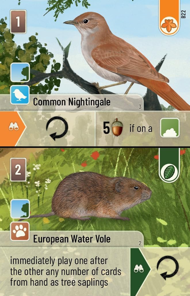 Card with Common Nightingale and European Water Vole illustrations on a nature-themed background