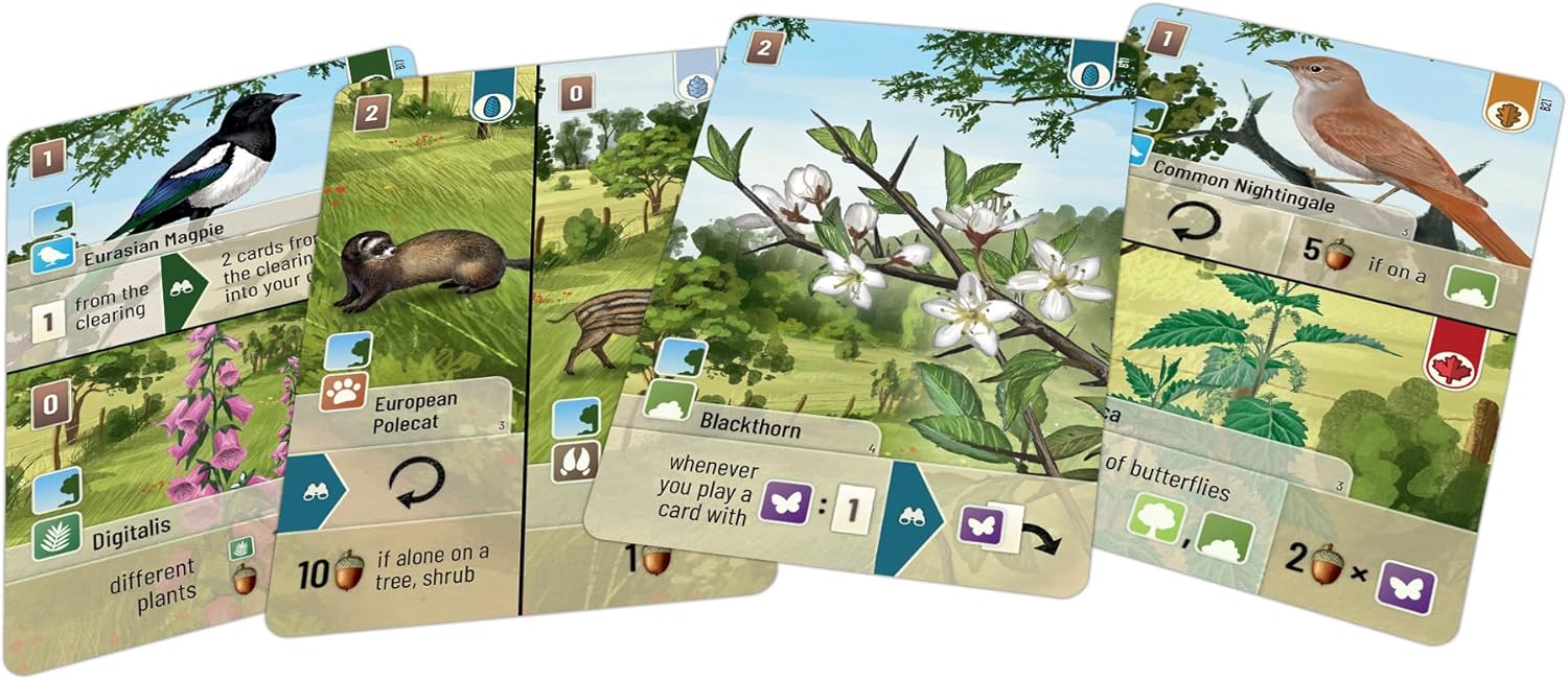 Set of nature-themed cards with illustrations and text on a green background