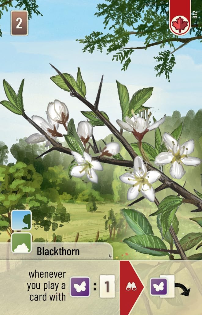 Card featuring a blackthorn branch with flowers and leaves, set against a natural landscape.