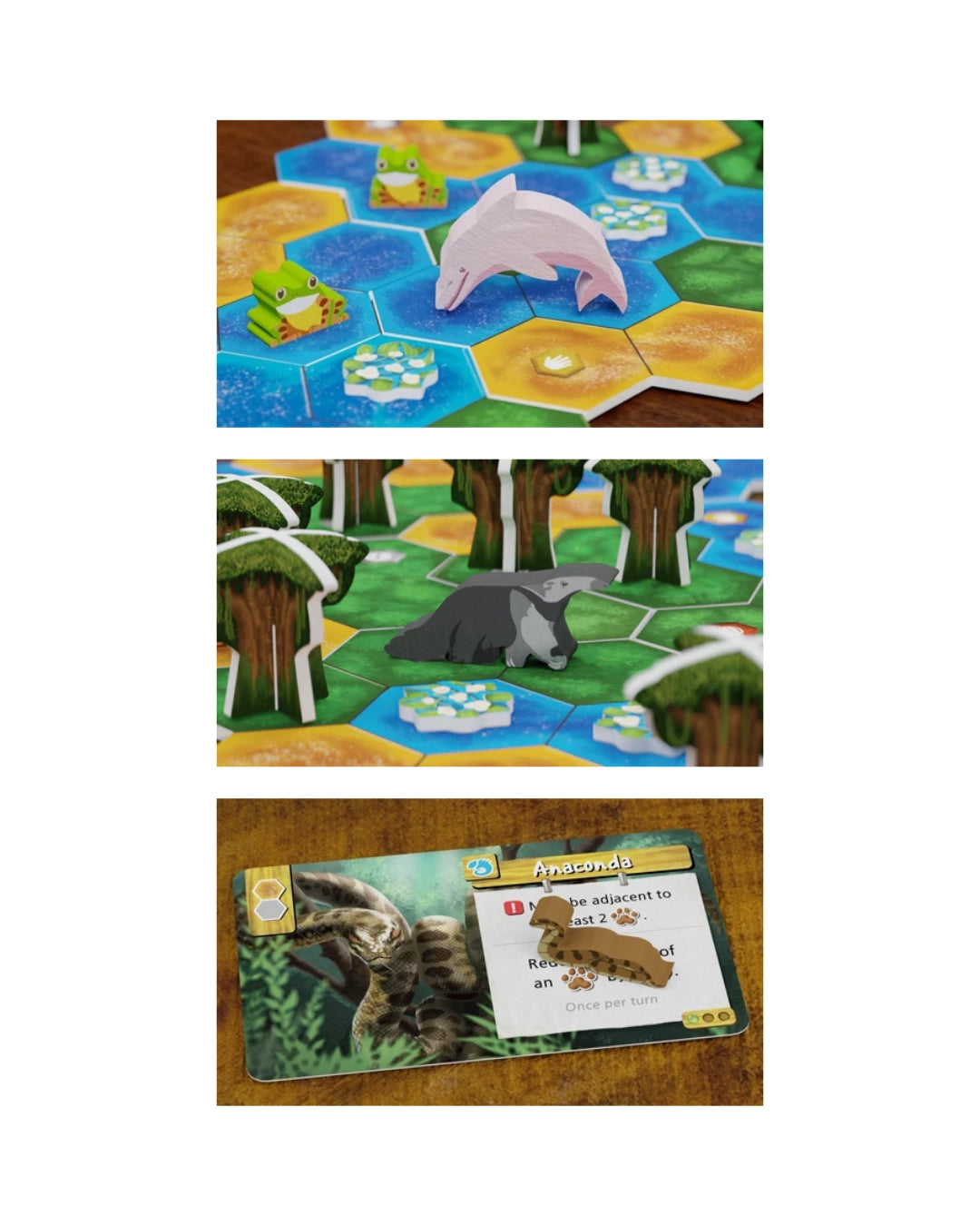 Three stacked photos showing gameplay of the Life of the Amazonia board game: a top panel with blue and yellow hexagonal tiles, green frogs, and a pink dolphin; a middle panel with green forest tiles, trees, and a grey animal; a bottom panel showing a card with a brown creature illustration and text on a wooden tabletop.