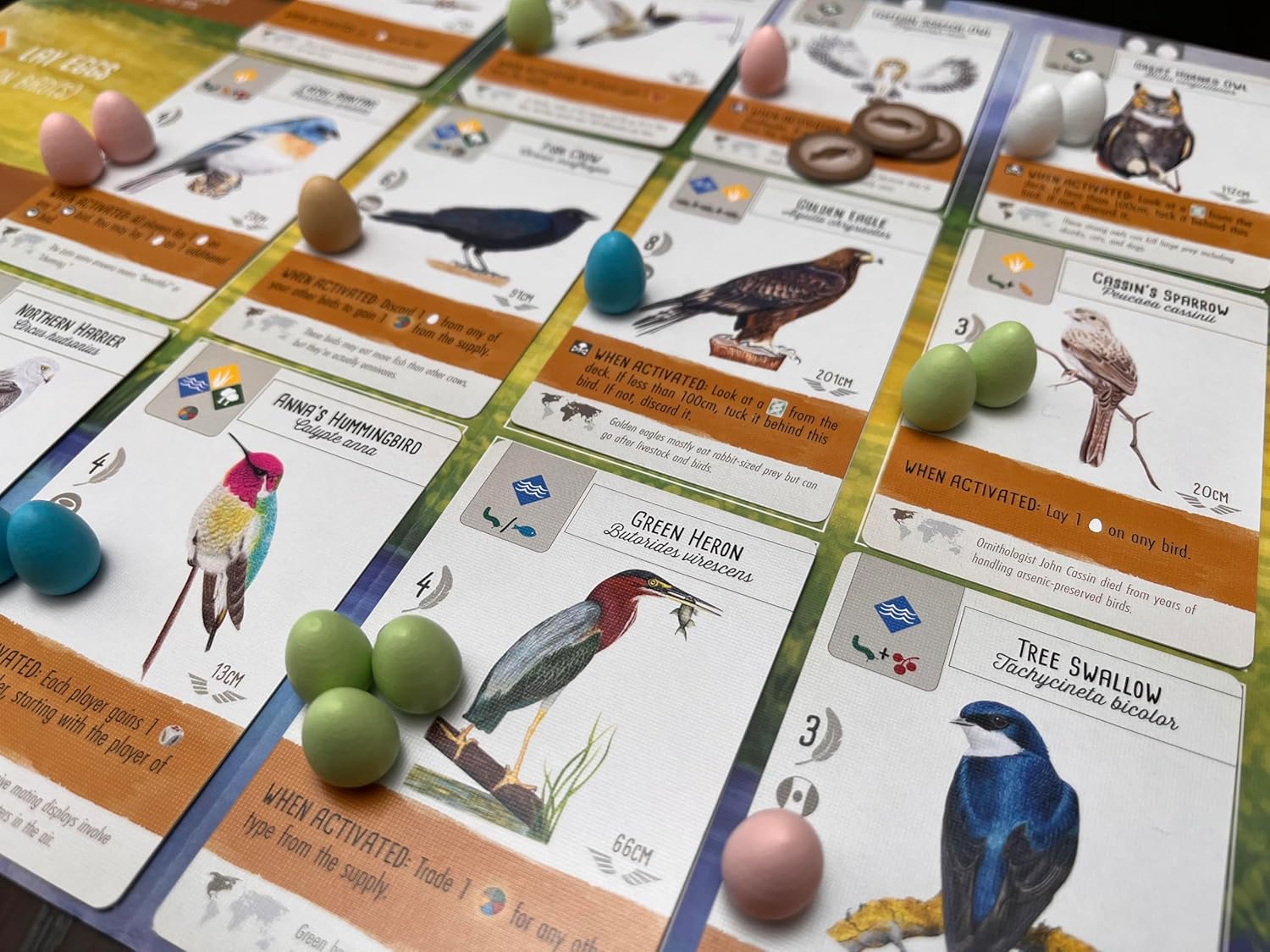 Wingspan board game cards and eggs laid out in play