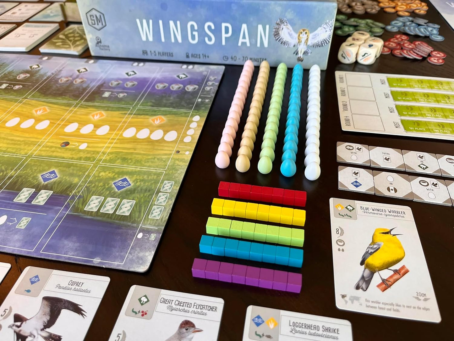 Wingspan board game components 