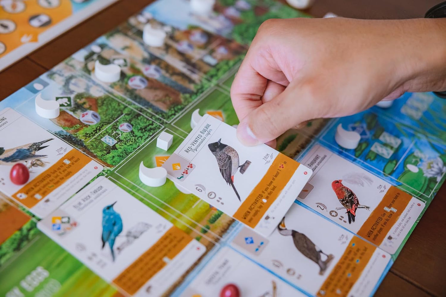Wingspan Asia Playing cards displaying different birds