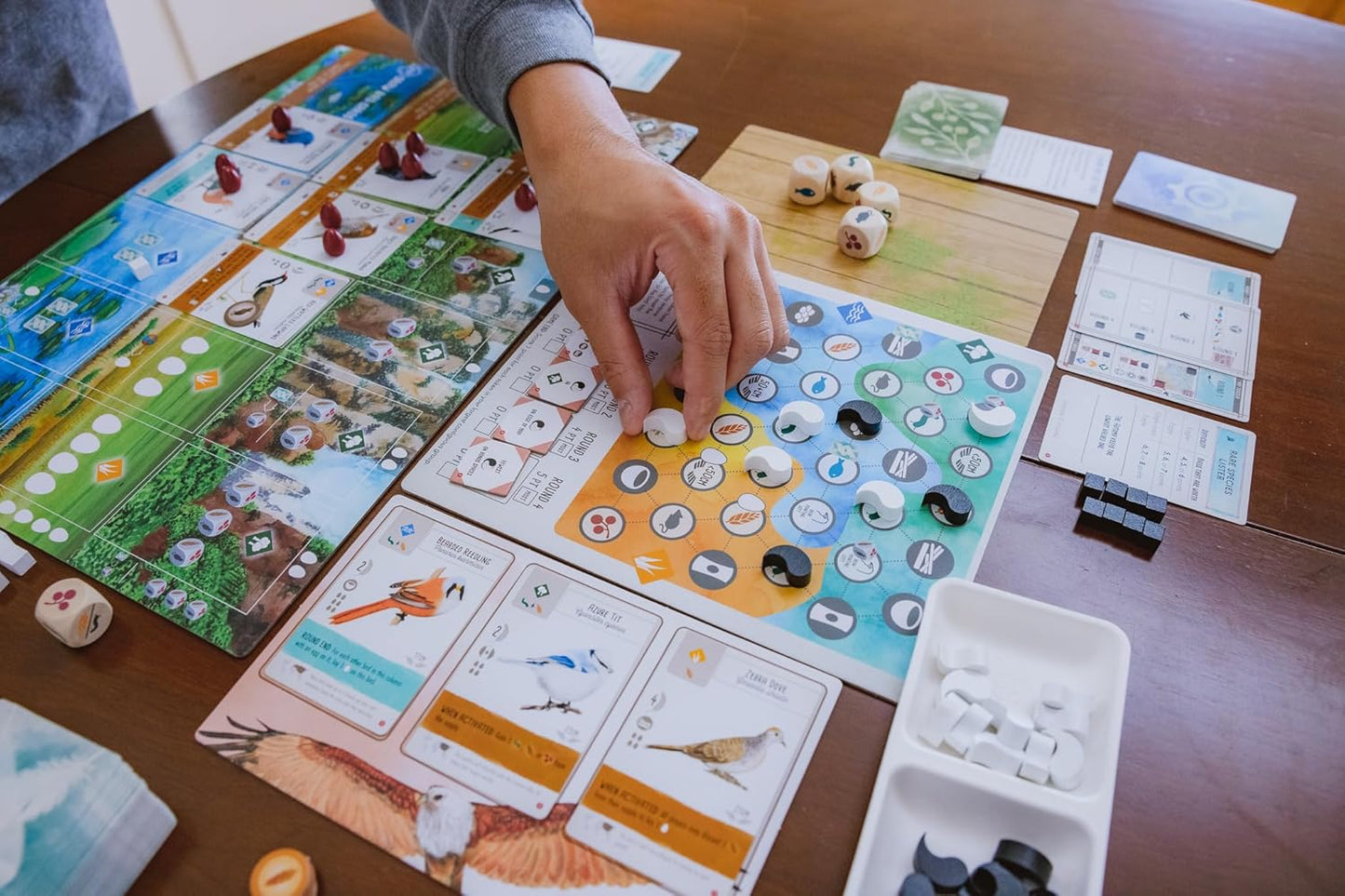 Wingspan Asia board game laid out in play