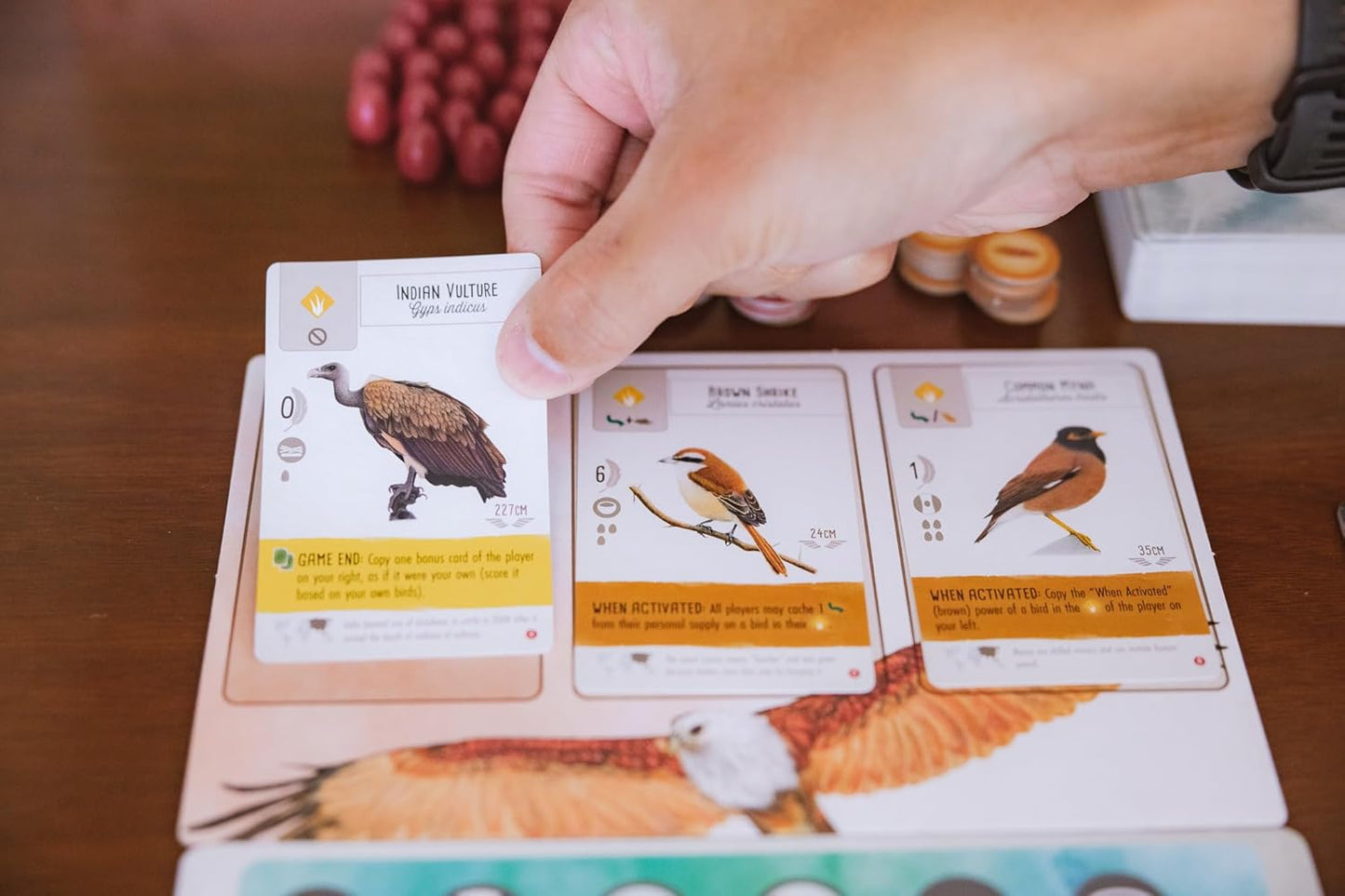 Indian Vulture playing card for Wingspan Asia