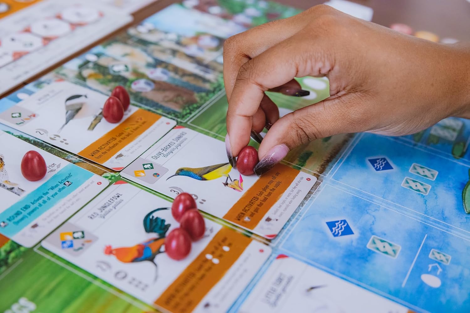 eggs in the board game wingspan asia