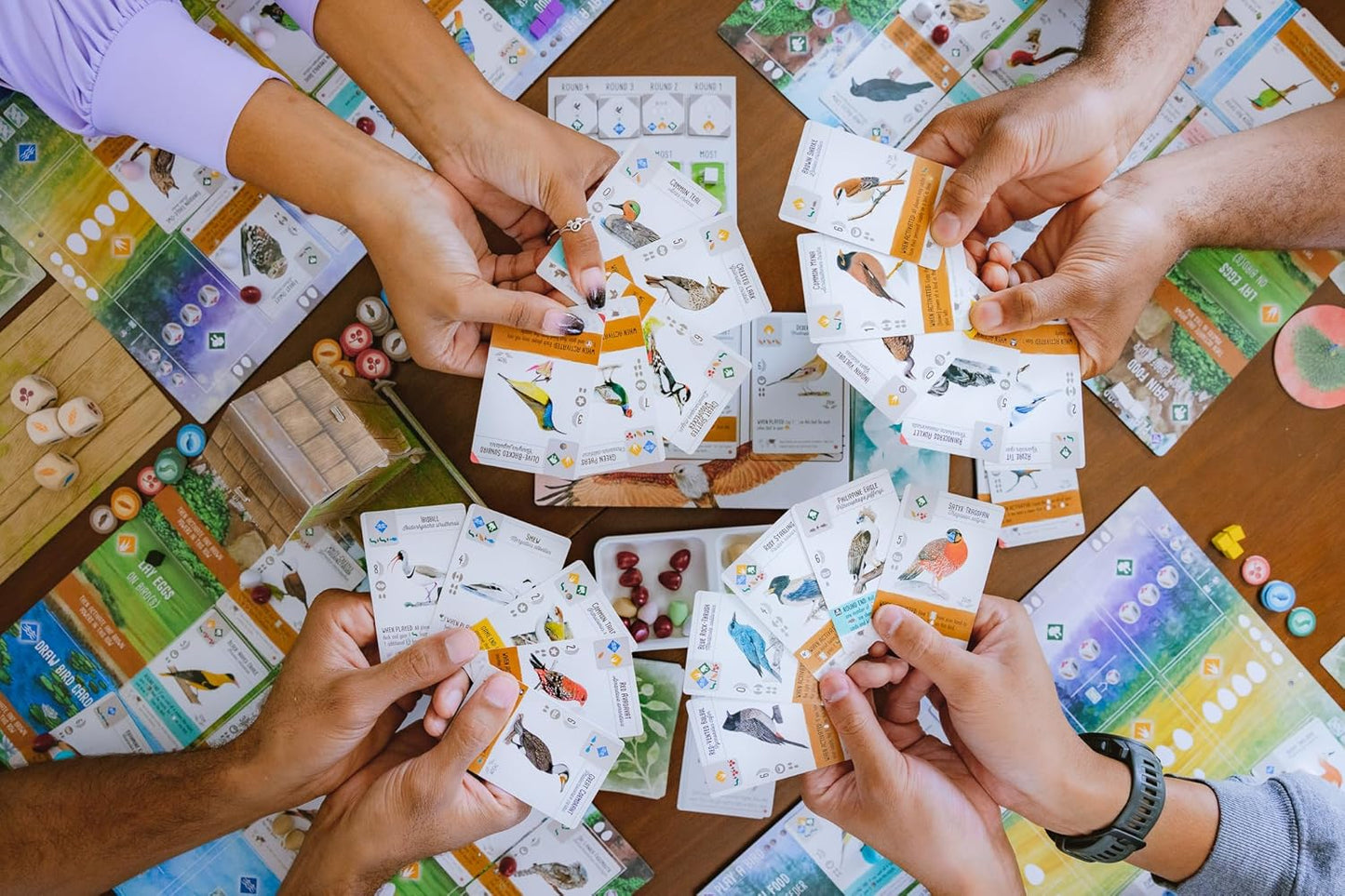 collection of cards for Wingspan asia