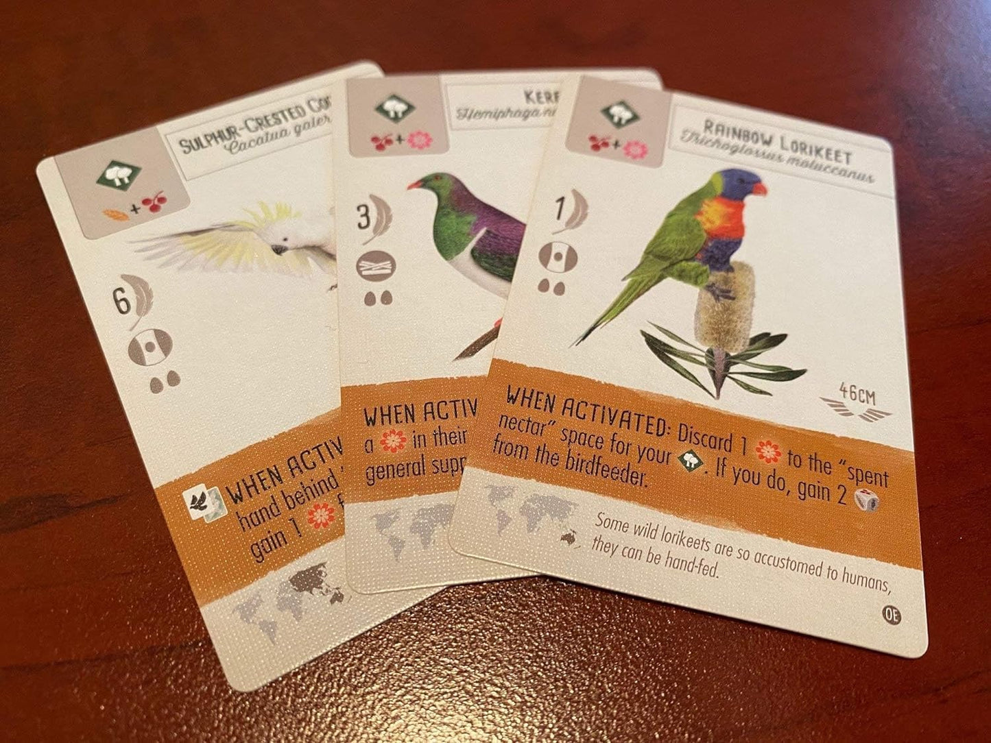Wingspan Oceania Expansion game cards featuring a Three different birds on a red background