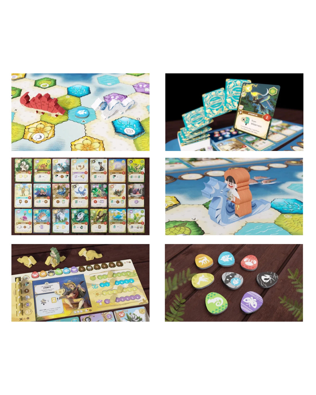 A collage of six photos showing the Wondrous Creatures board game set in use and laid out: a game board with hexagonal tiles and small terrain pieces, stacks of illustrated cards, a character card, a scenic board layout, a player tracker sheet, and several coloured game tokens on a dark surface.