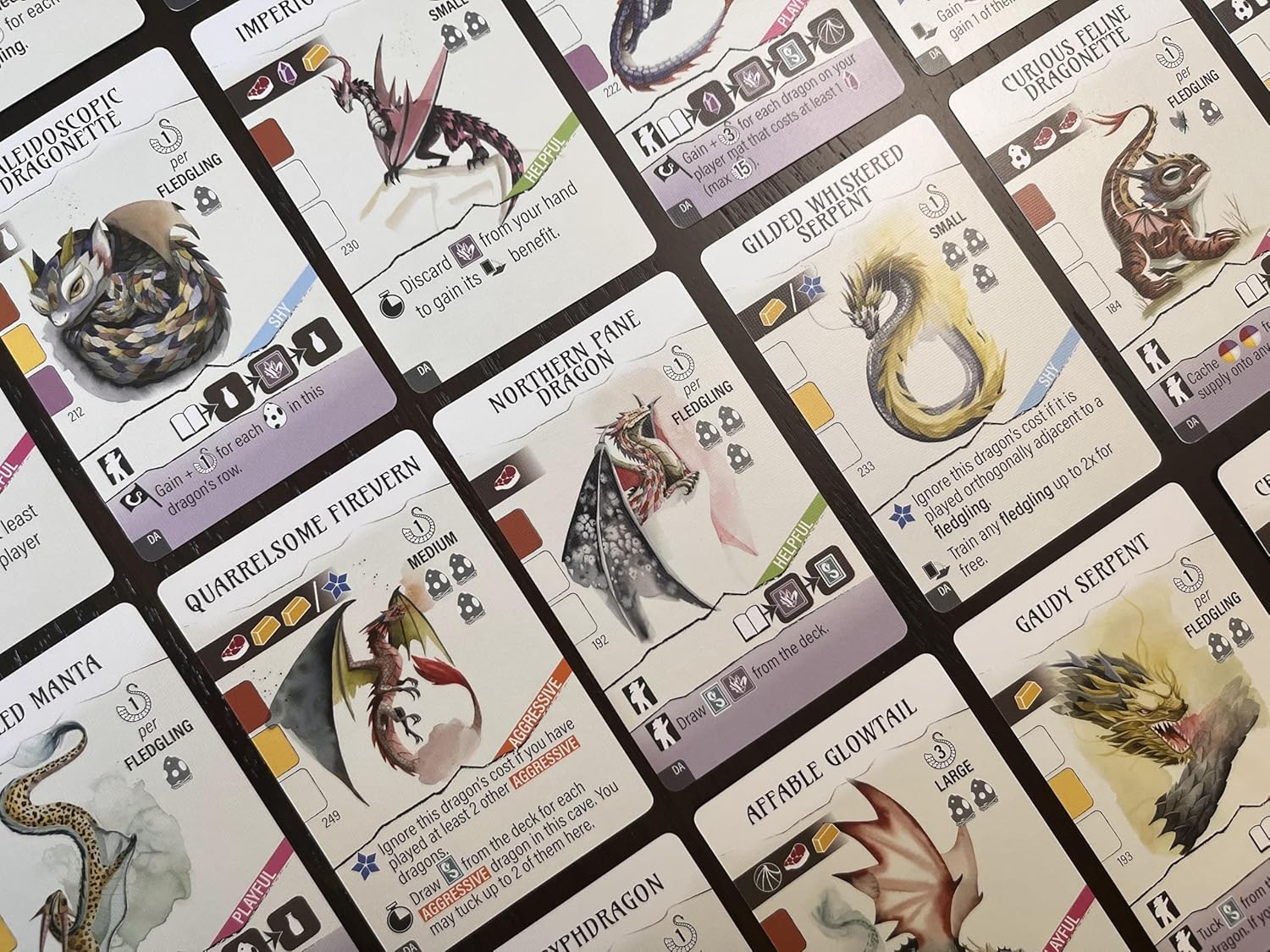 Collection of fantasy dragon cards with various designs and text.